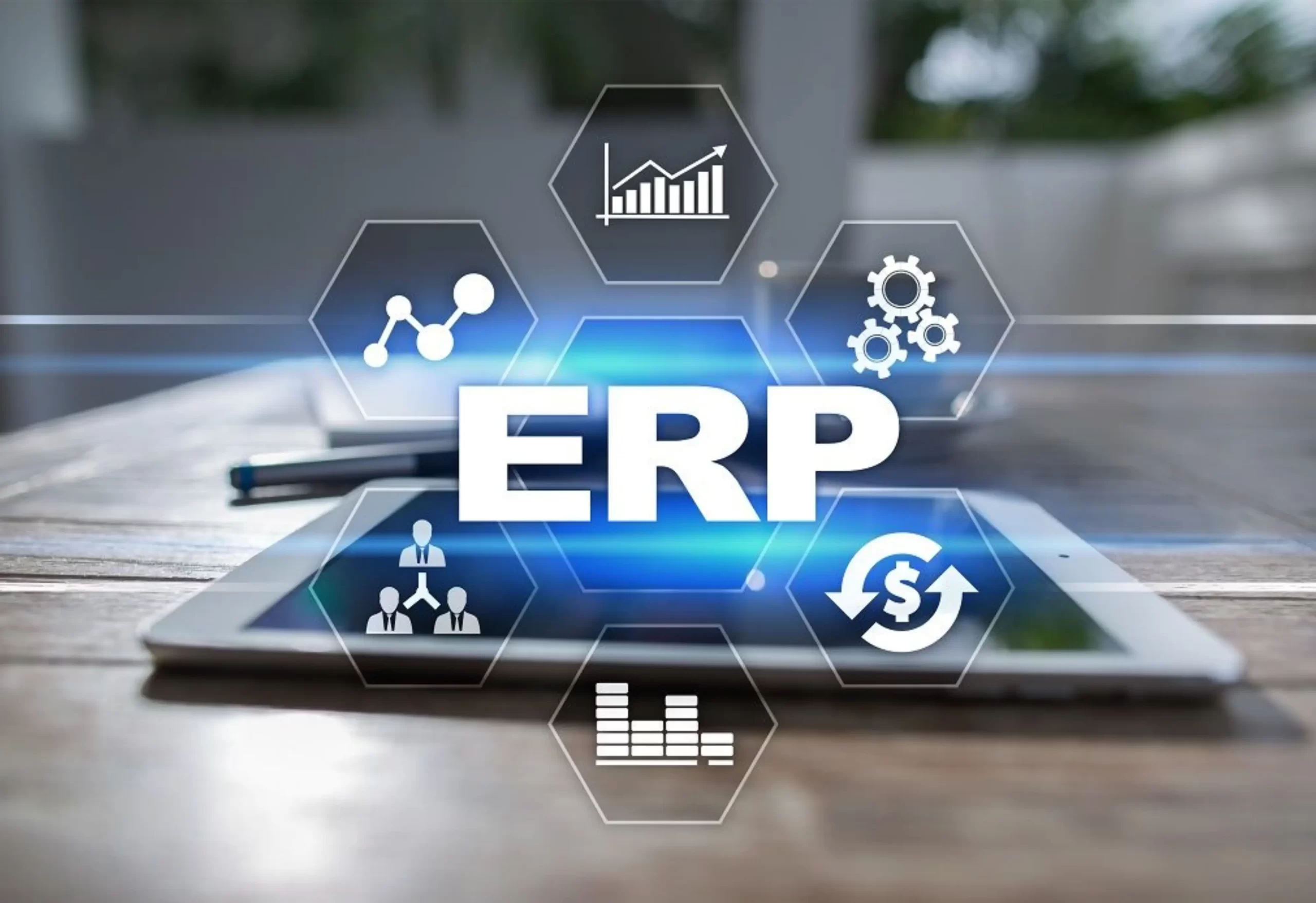 Enterprise Resource Planning (ERP)